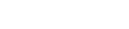 Black Cats Investigation